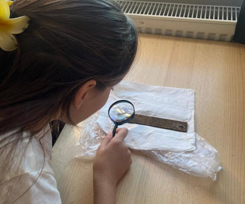 Šestaši istražuju svijet komaraca!