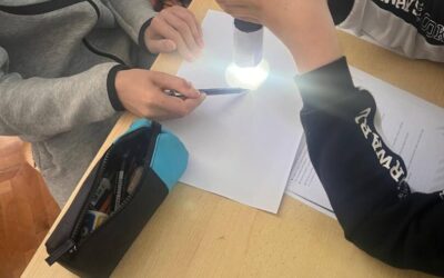 Matematika u prirodi