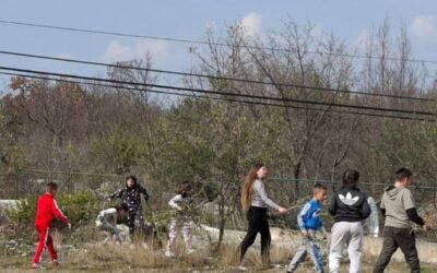 B1 aktivnost – Zeleni svijet